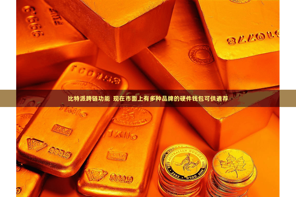 比特派跨链功能  现在市面上有多种品牌的硬件钱包可供遴荐